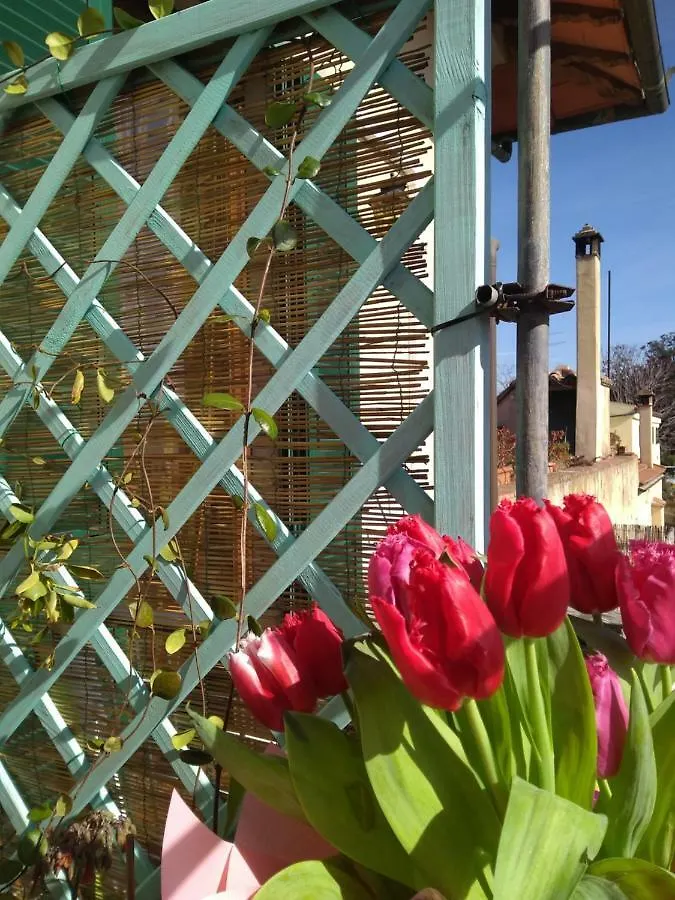 The Nest Daire Grosseto İtalya